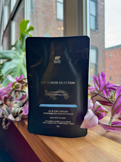 BIG SUR - ELIDA ESTATE WASHED GREEN TIP GEISHA DRD AGUACATE 250325