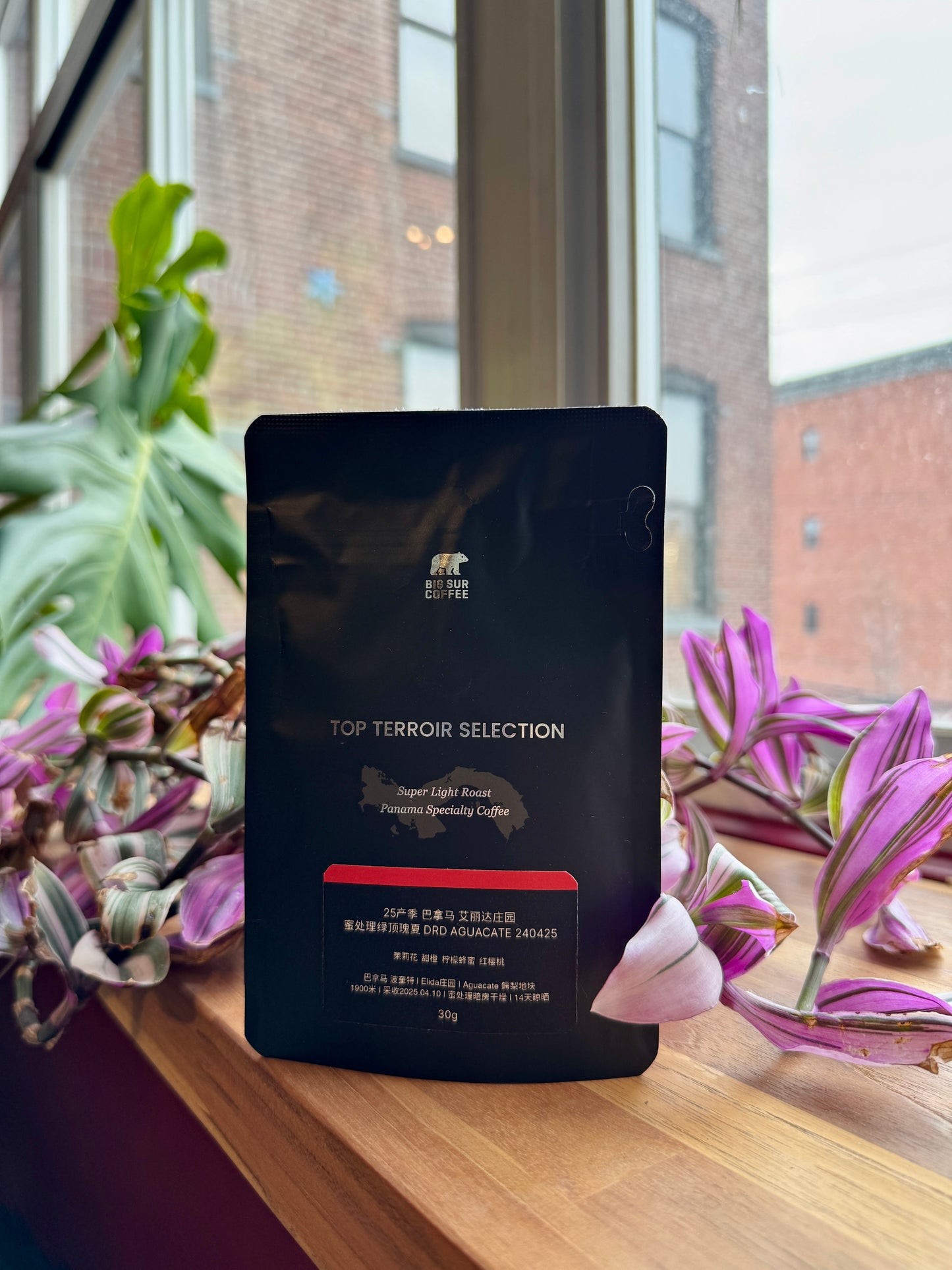 BIG SUR - ELIDA ESTATE HONEY GREEN TIP GEISHA DRD AGUACATE 240425