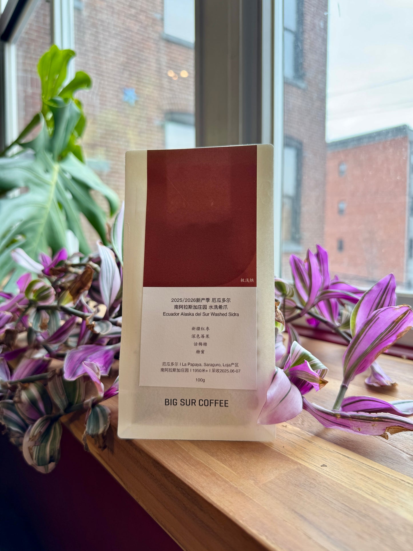 BIG SUR - ALASKA DEL SUR FARM WASHED SIDRA