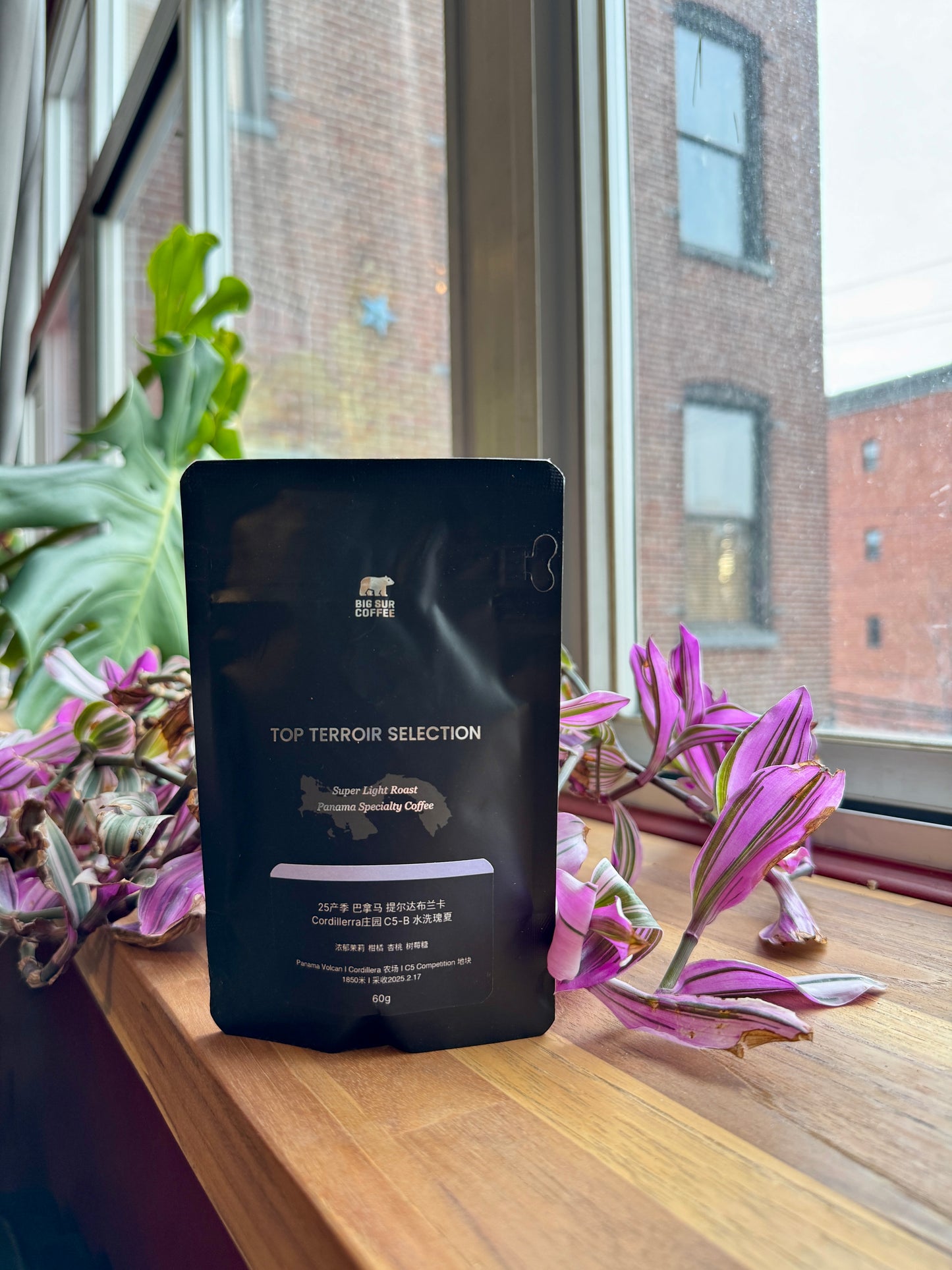 BIG SUR - TIERRA BLANCA WASHED GREEN TIP GEISHA – C5-B COMPETITION