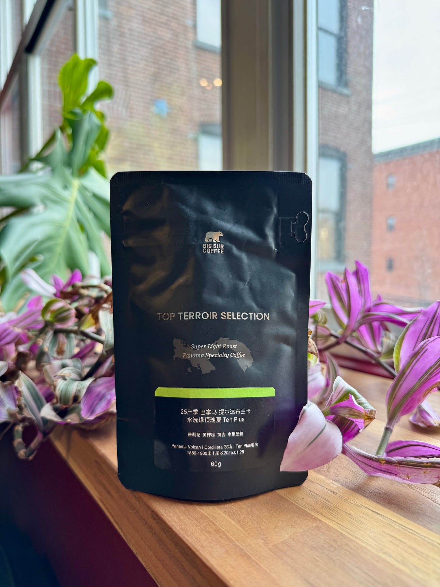 BIG SUR - TIERRA BLANCA WASHED GREEN TIP GEISHA – TEN PLUS