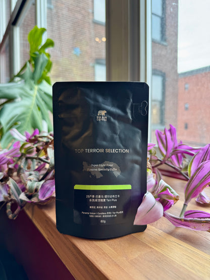 BIG SUR - TIERRA BLANCA WASHED GREEN TIP GEISHA – TEN PLUS