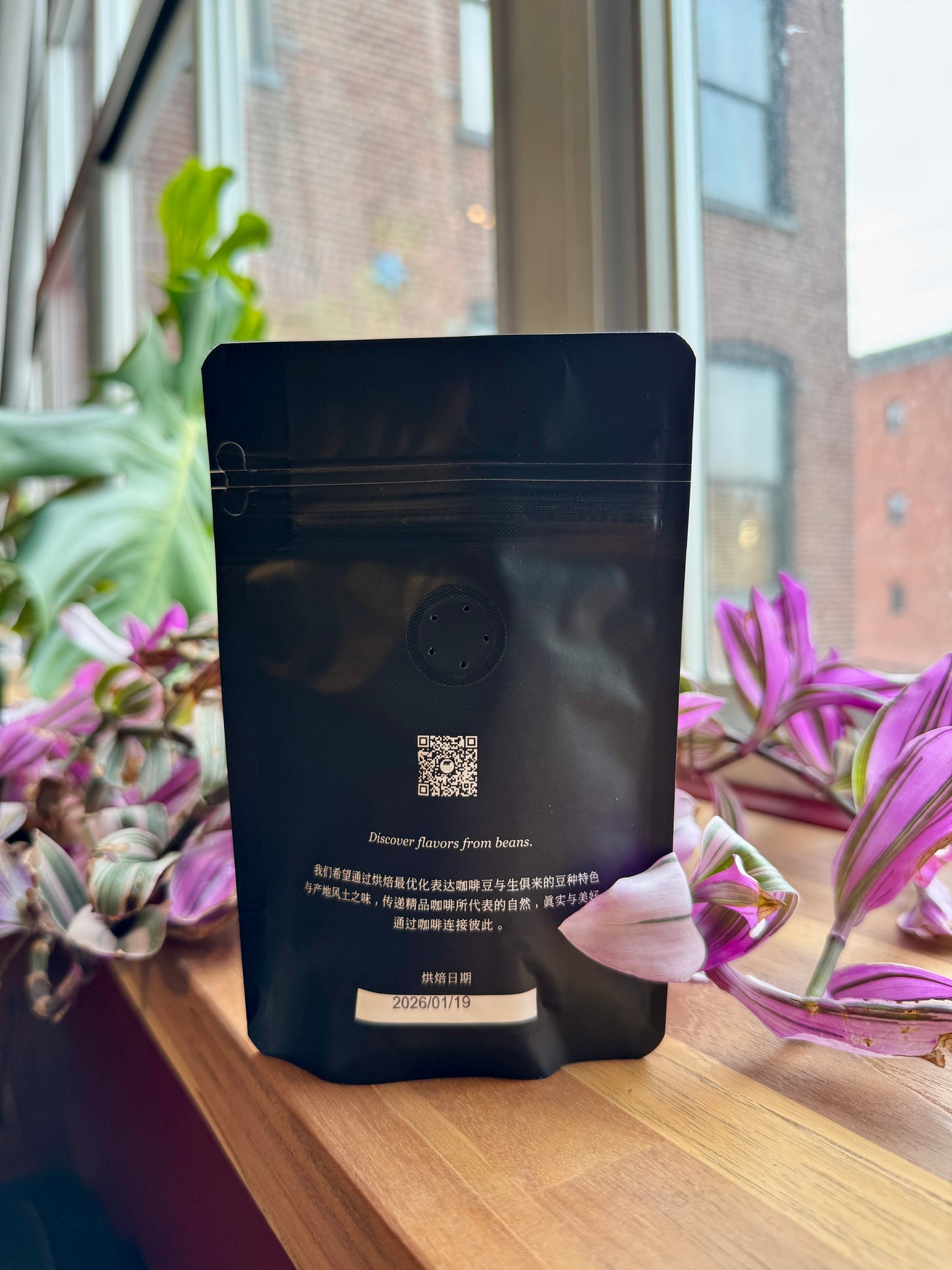 BIG SUR - TIERRA BLANCA WASHED GREEN TIP GEISHA – TEN PLUS