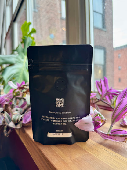 BIG SUR - TIERRA BLANCA WASHED GREEN TIP GEISHA – TEN PLUS