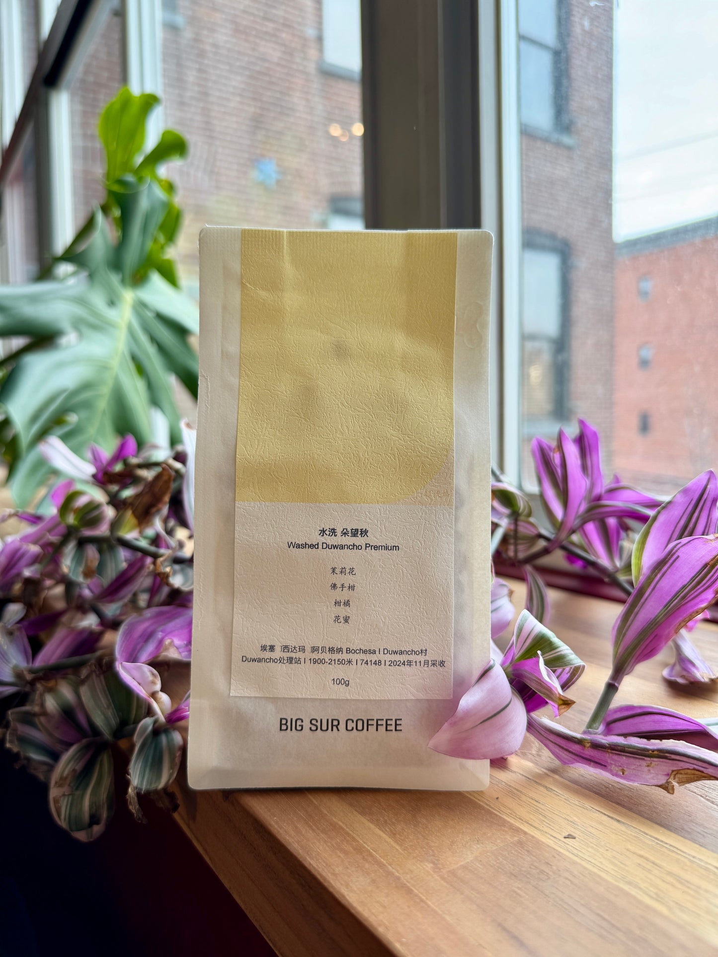 BIG SUR - DUWANCHO PREMIUM WASHED