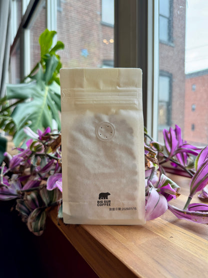 BIG SUR - DUWANCHO PREMIUM WASHED