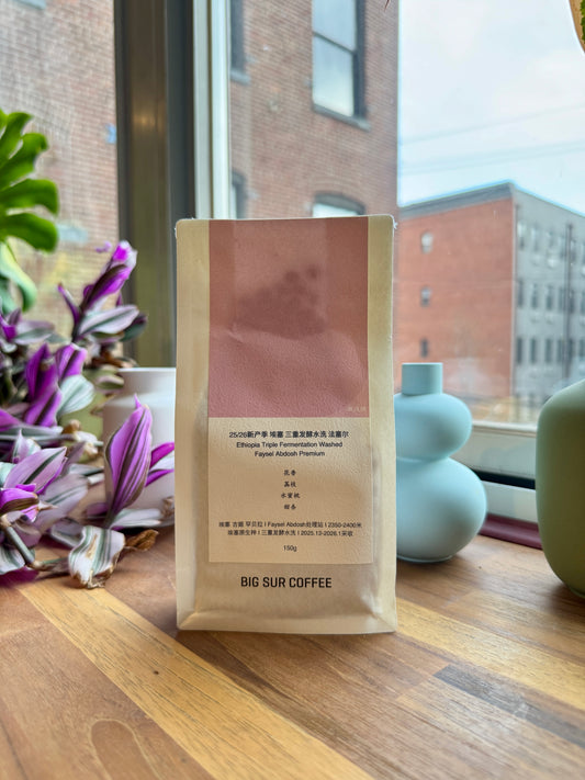 FAYSEL ABDOSH - TRIPLE FERMENTATION WASHED, HEIRLOOM - ETHIOPIA