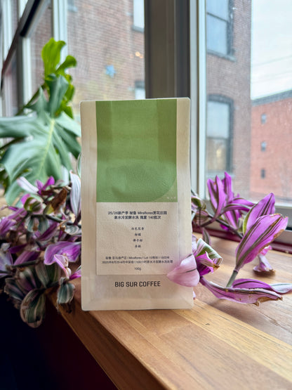 BIG SUR - FINCA MIRAFLORES COLD WATER FERMENTATION WASHED GEISHA 140