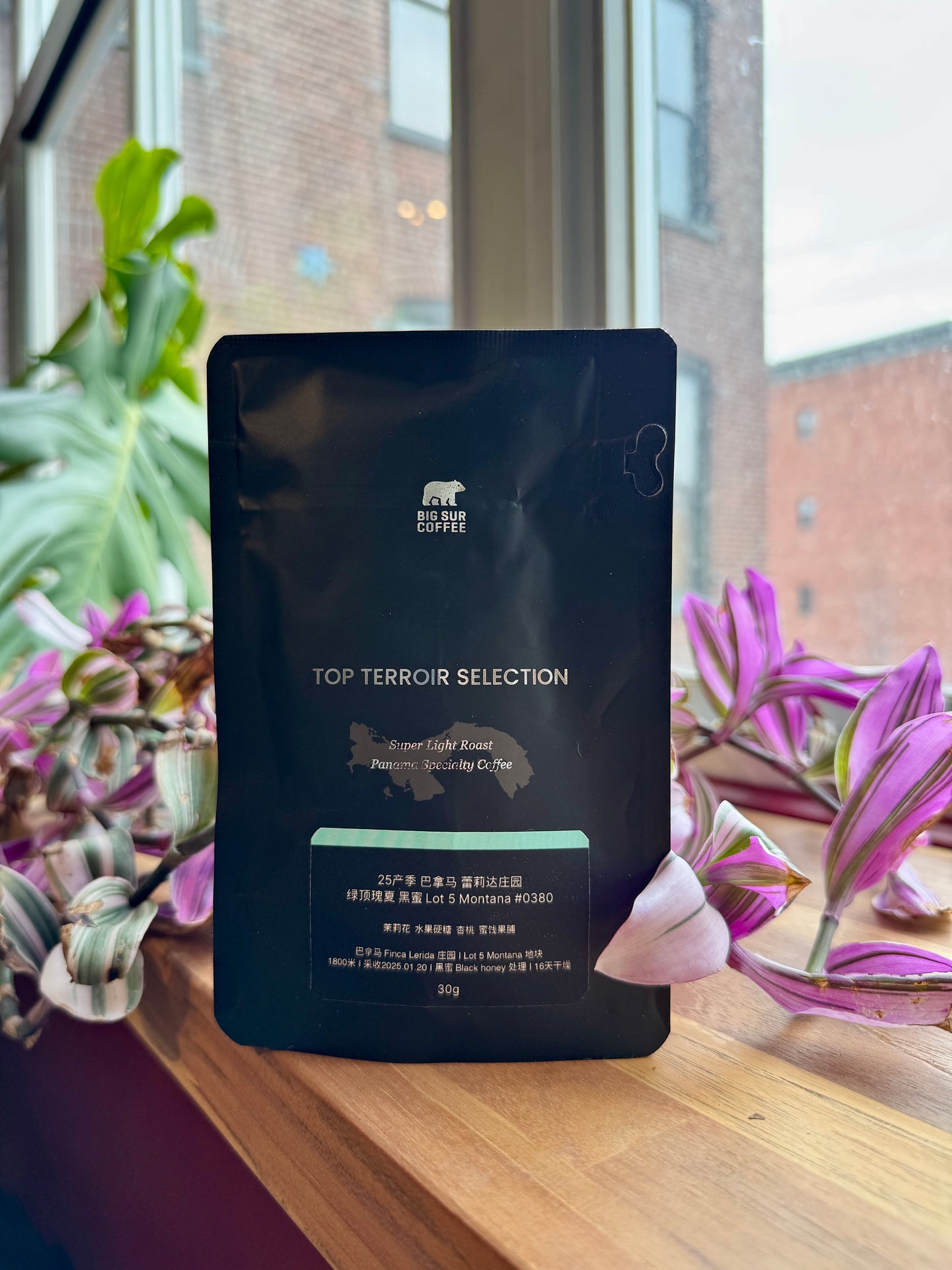 BIG SUR - FINCA LERIDA BLACK HONEY GEISHA LOT 5 MONTANA #0380