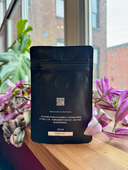 BIG SUR - FINCA LERIDA BLACK HONEY GEISHA LOT 5 MONTANA #0380