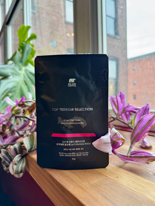 BIG SUR - FINCA LERIDA HONEY GEISHA LOT 5 MONTANA #0403