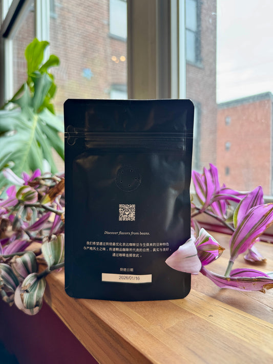 BIG SUR - FINCA LERIDA HONEY GEISHA LOT 5 MONTANA #0403