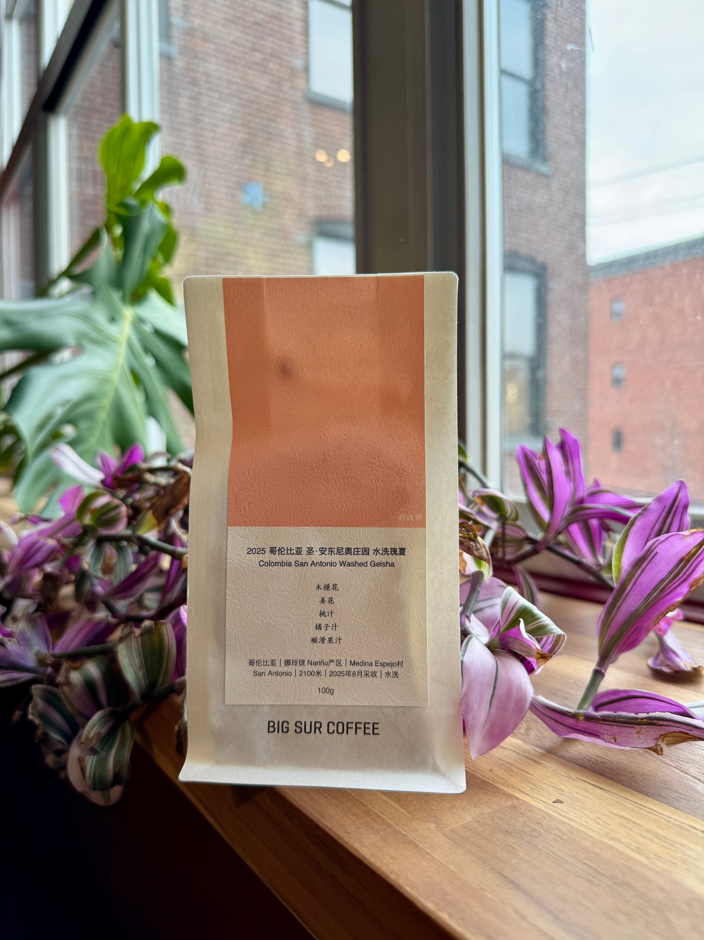 BIG SUR - SAN ANTONIO WASHED GEISHA