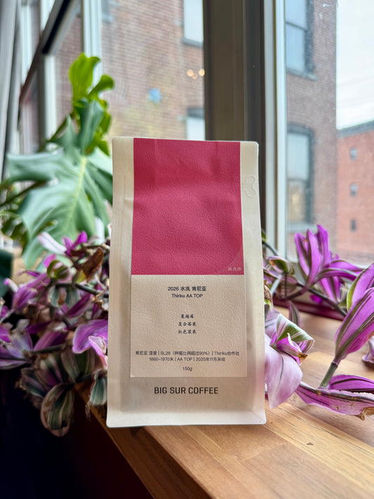 BIG SUR - KENYA WASHED THIRIKU AA TOP