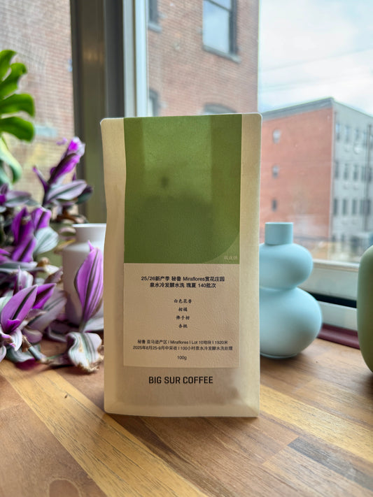 FINCA MIRAFLORES COLD WATER FERMENTATION WASHED GEISHA 140 - PERU