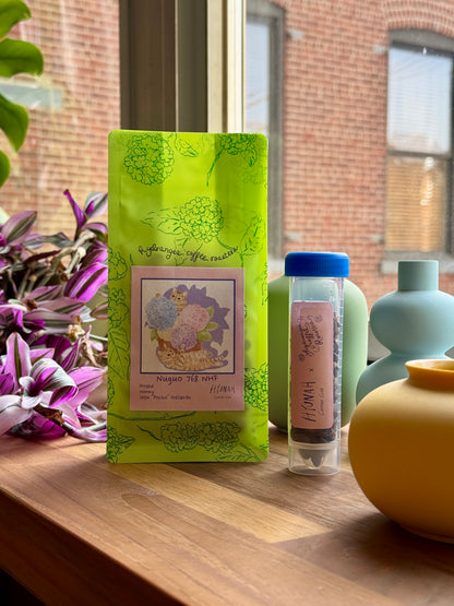 HYDRANGEA x HYUNAH - NUGUO 768 NHF - GESHA, HONEY - PANAMA