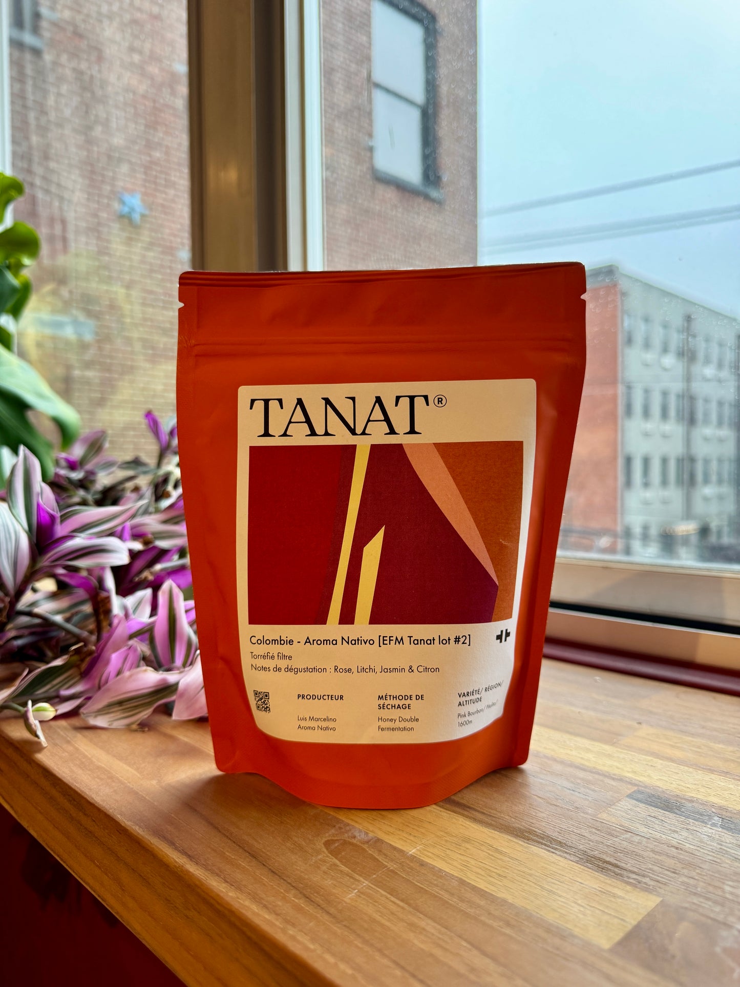 AROMA NATIVO EFM TANAT LOT #2 - PINK BOURBON, HONEY - COLOMBIA