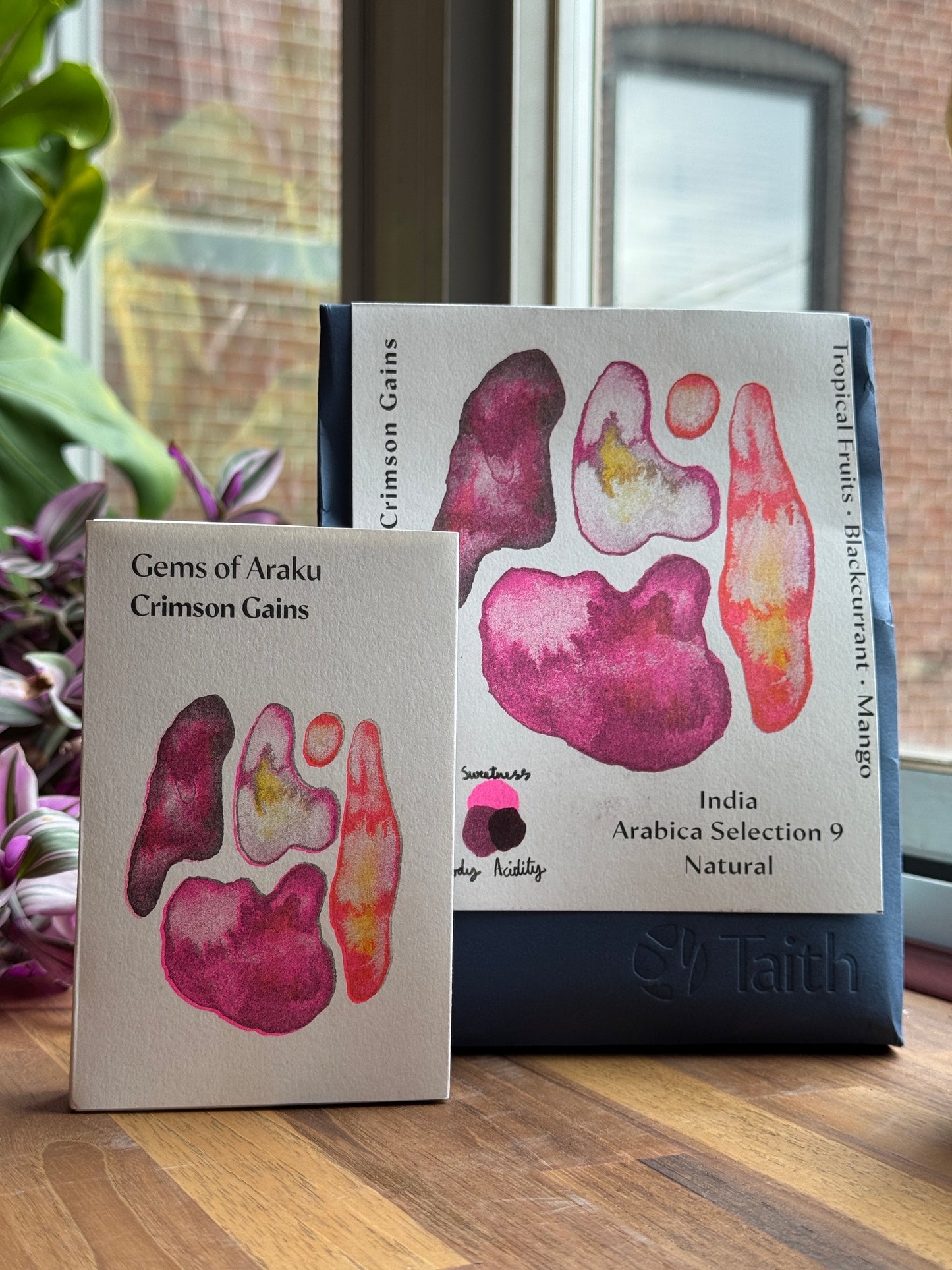 GEMS OF ARAKU CRIMSON GAINS - NATURAL - INDIA