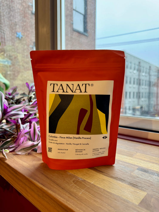 FINCA MILAN VANILLA - CATURRA, CULTURING - COLOMBIA