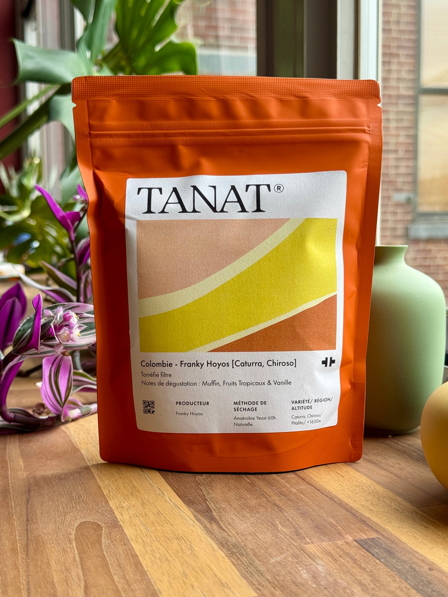FRANKY HOYOS – CATURRA & CHIROSO, 60H ANAEROBIC YEAST NATURAL - COLOMBIA