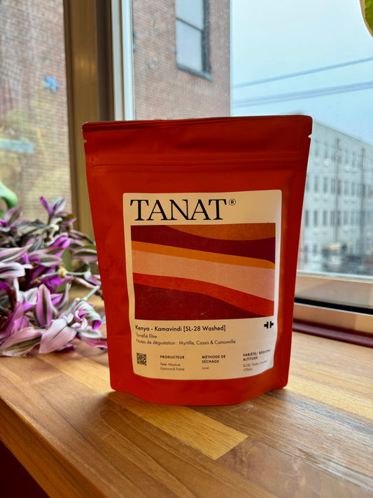 KAMAVINDI - SL-28, WASHED - KENYA