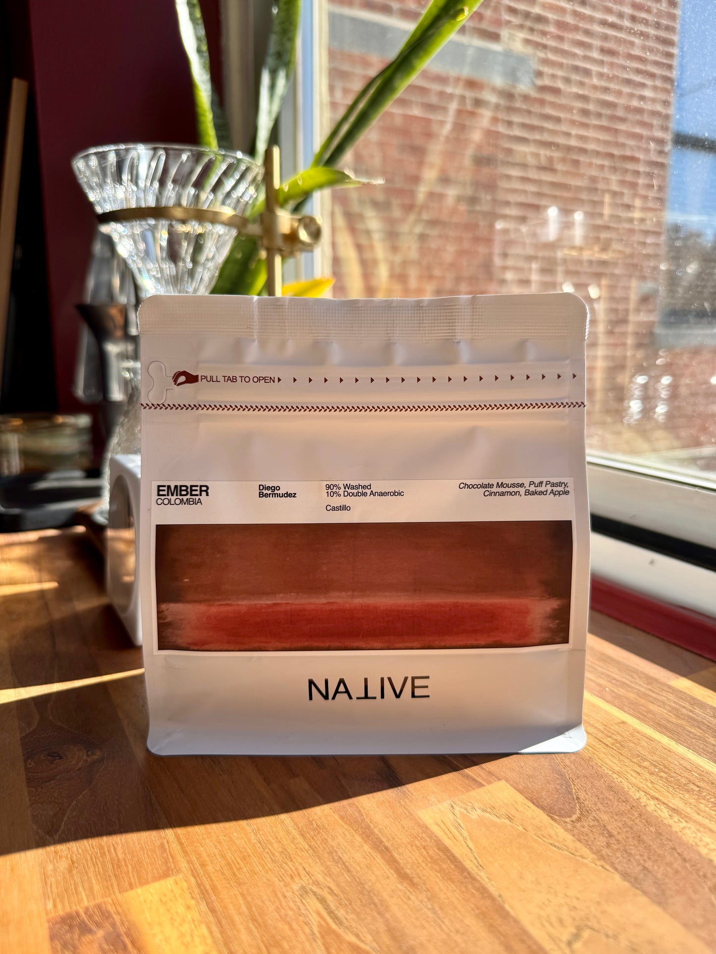 EMBER – DIEGO BERMUDEZ