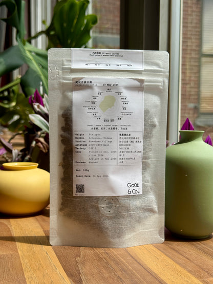 RUMUDAMO – 74112, WASHED – ETHIOPIA
