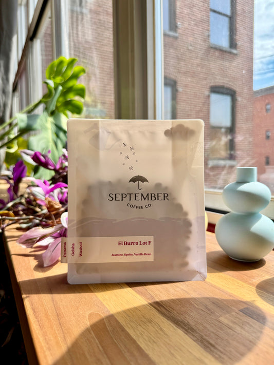 EL BURRO LOT F - GEISHA, WASHED - PANAMA