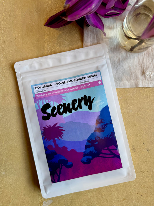 YOINER MOSQUERA'S GESHA – GESHA, ANOXIC NATURAL – COLOMBIA