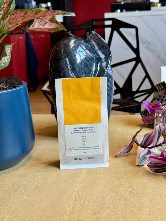 BAMBITO ESTATE GOLDEN TROPIC - YELLOW CATUAI, NATURAL - PANAMA