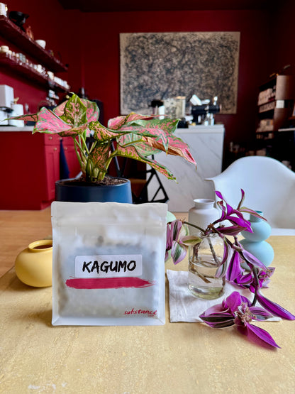 KAGUMO - SL28, SL34, BATIAN, WASHED - KENYA