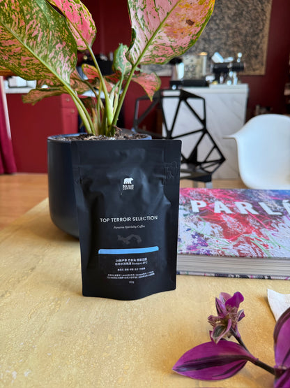 ESMERALDA SPECIAL BOSQUE 4FC - GEISHA, WASHED - PANAMA