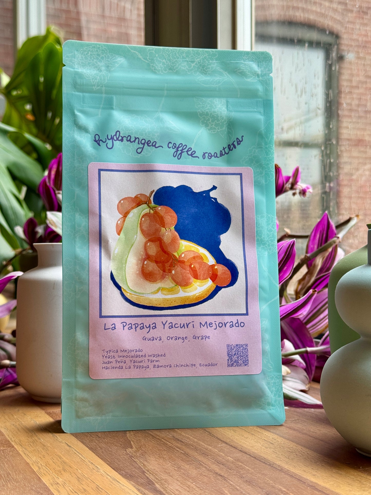 LA PAPAYA YACURI - TYPICA MEJORADO, YEAST WASHED - ECUADOR