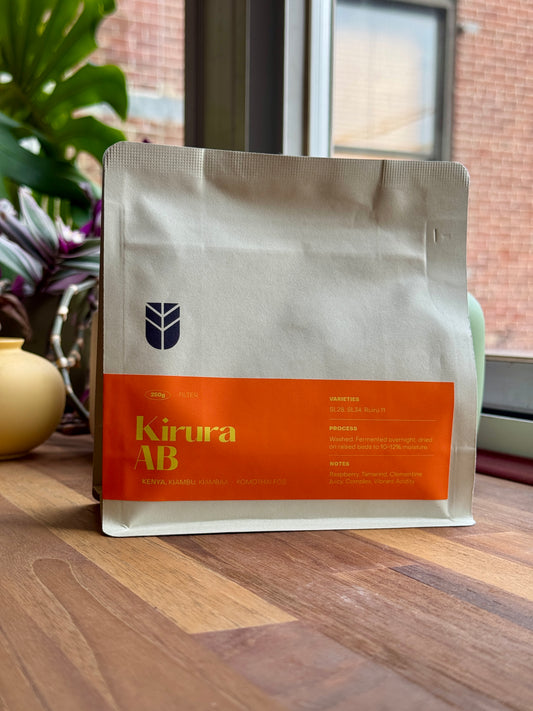 KIRURA AB - SL28, SL34, RUIRU 11, WASHED - KENYA