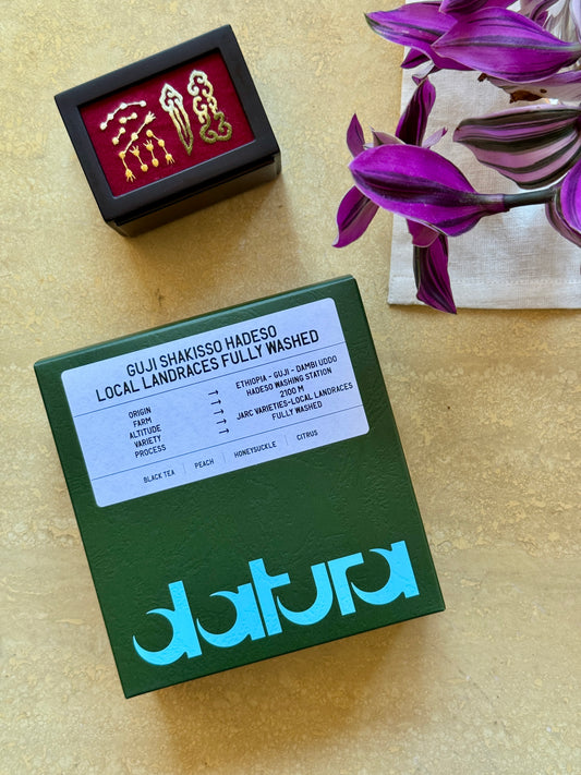 GUJI SHAKISSO HADESO - LOCAL LANDRACES, FULLY WASHED - ETHIOPIA