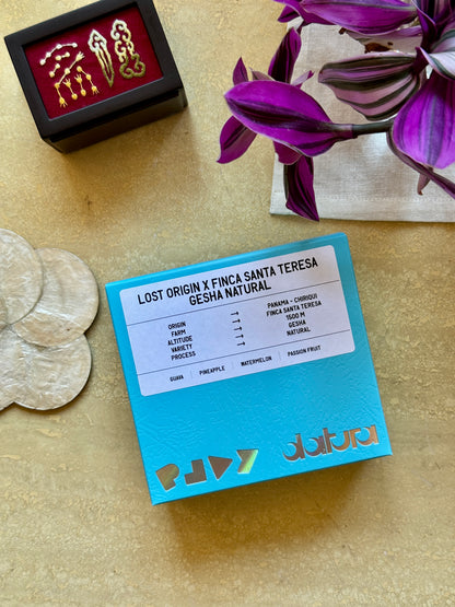 PLAY - LOST ORIGIN X FINCA SANTA TERESA - GESHA, NATURAL - PANAMA