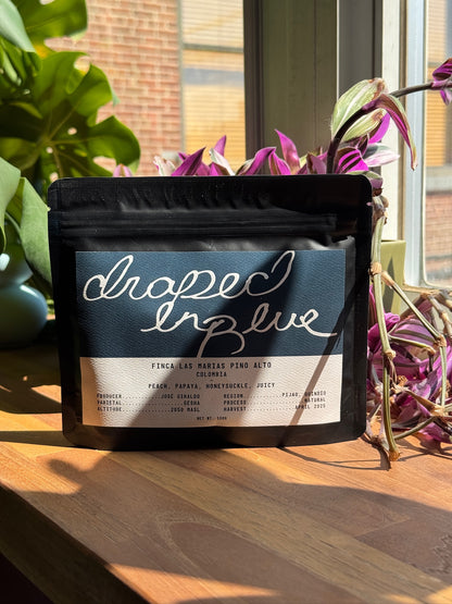FINCA LAS MARIAS PINO ALTO - GESHA, NATURAL - COLOMBIA