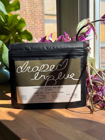 FINCA LAS MARIAS RÍO DULCE - GESHA, WASHED - COLOMBIA