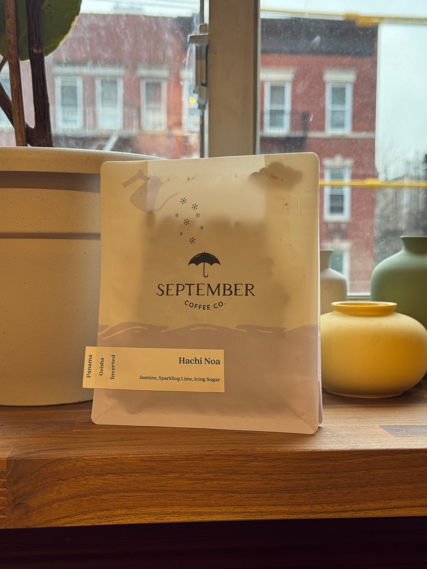 SEPTEMBER - HACHI NOA