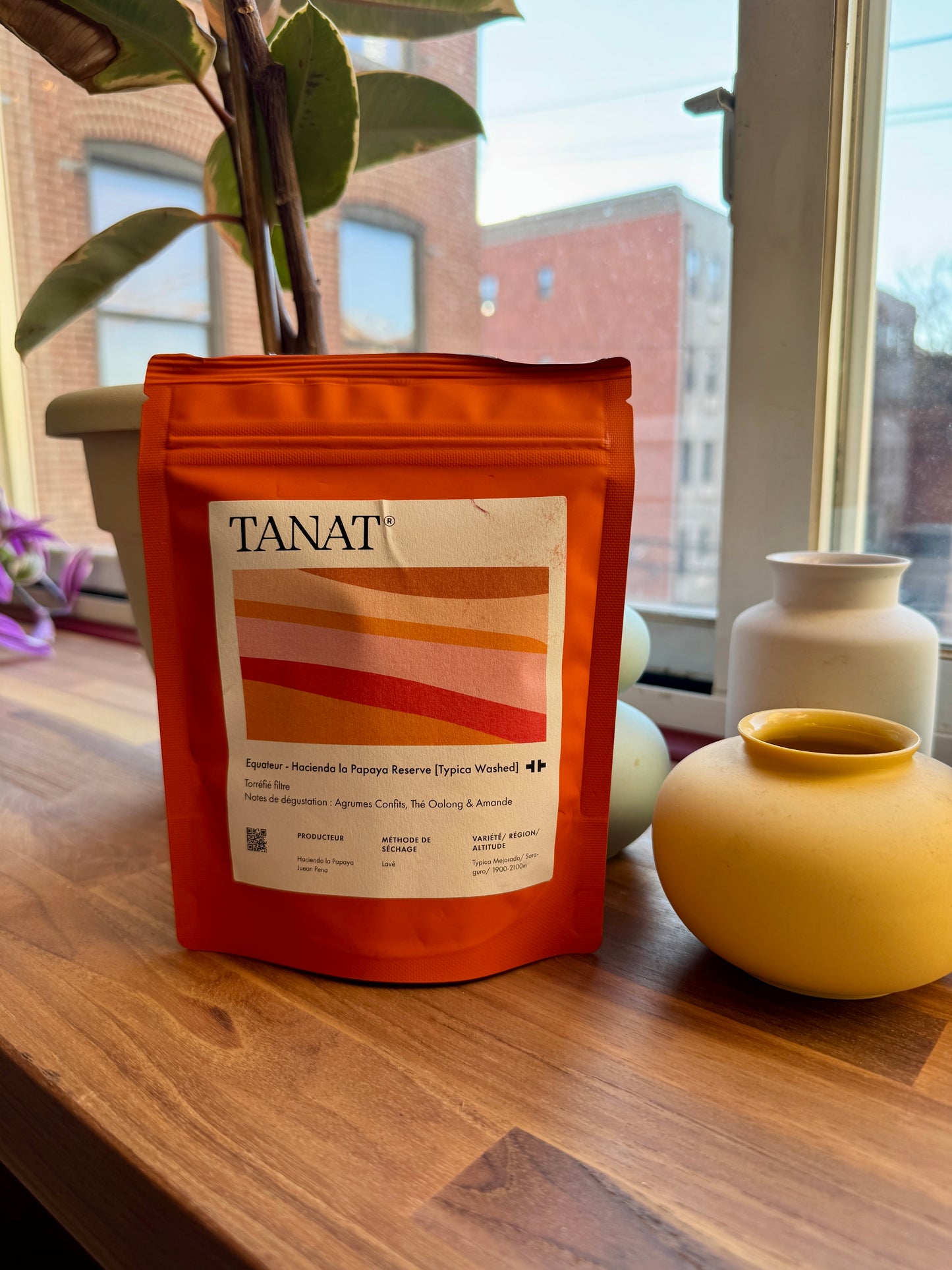 TANAT - HACIENDA LA PAPAYA RESERVE – TYPICA WASHED