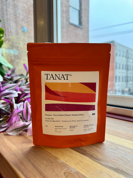 FINCA SOPHIA – GW2 ESTACIÓN - GEISHA, WASHED - PANAMA