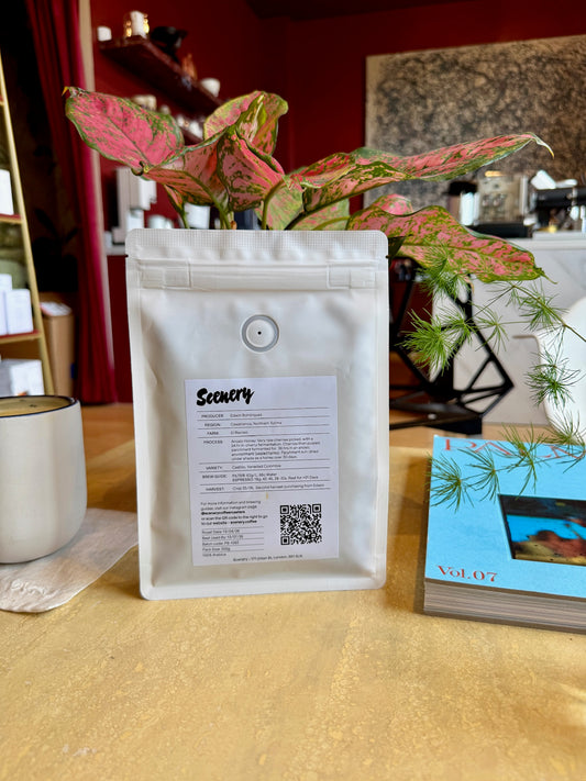 EDWIN BOHÓRQUEZ [25/26] – CASTILLO / VARIEDAD. ANOXIC HONEY – COLOMBIA