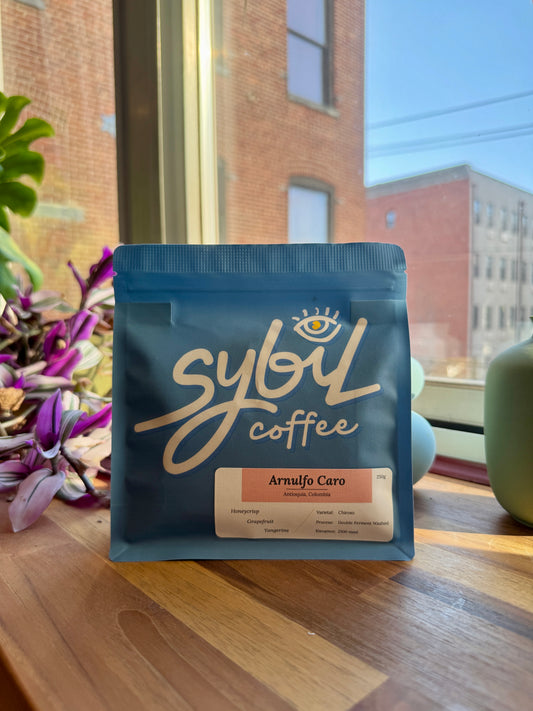 ARNULFO CARO - CHIROSO, DOUBLE FERMENT WASHED - COLOMBIA