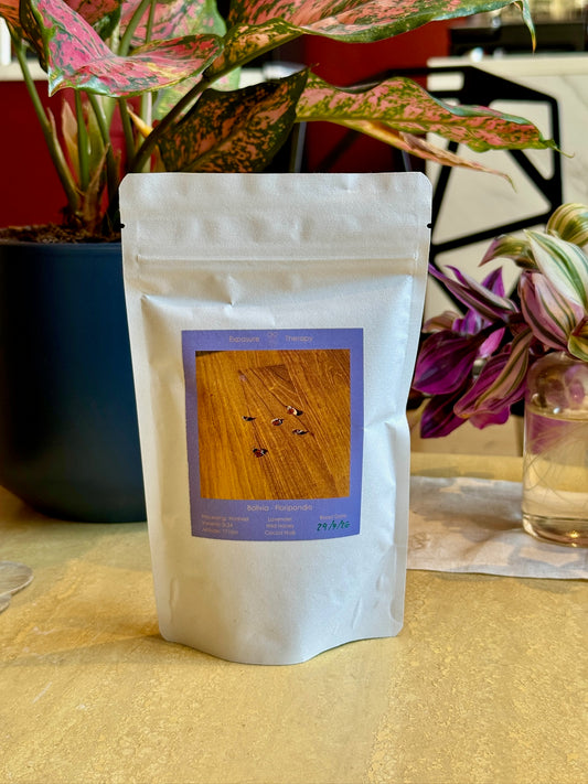 ExposureTherapy-Floripondio-SL34-Washed_1