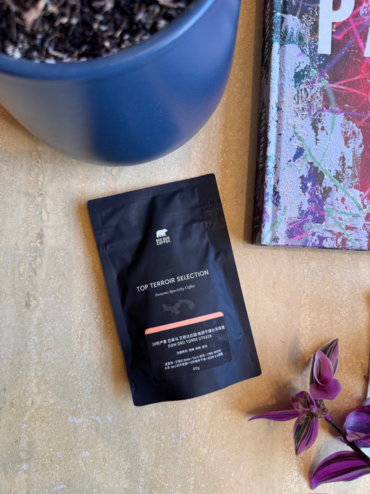 ELIDA DRD TORRE 070326 - GEISHA, WASHED - PANAMA