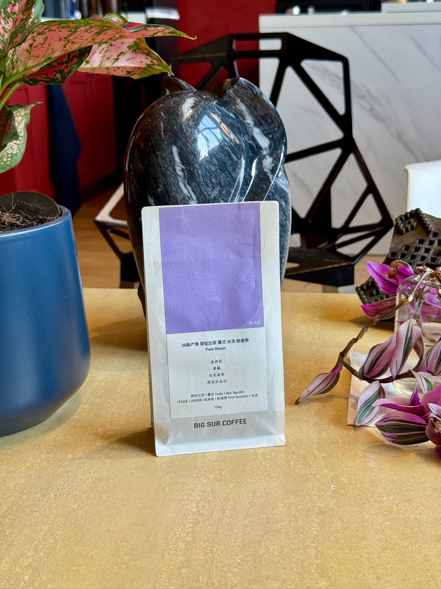 HUILA PINK BOURBON PURE BLOOM - PINK BOURBON, WASHED - COLOMBIA