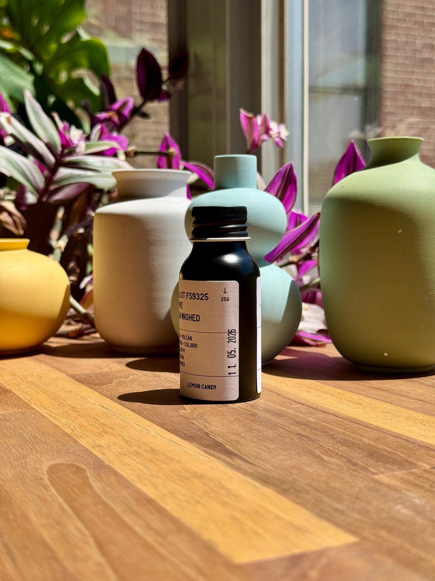 FINCA SOPHIA - LOT FS9325 GRAND RESERVE COLIBRI - GESHA, WASHED - PANAMA
