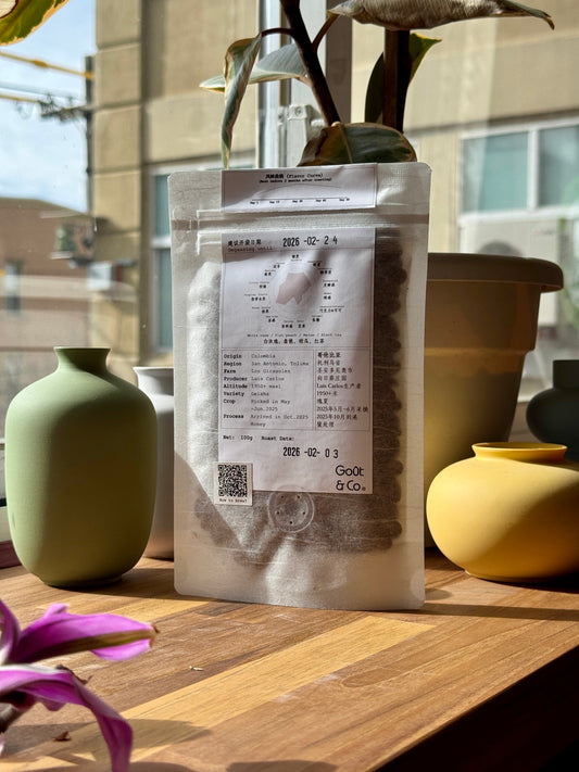 LOS GIRASOLES – GEISHA, HONEY – COLOMBIA