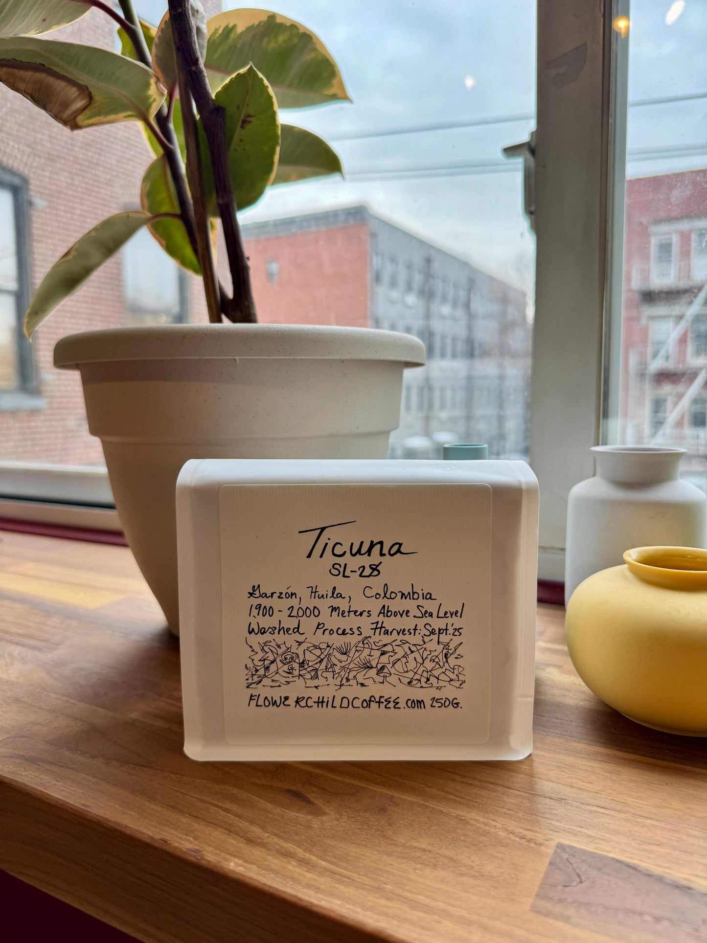 FLOWER CHILD - CAFE TICUNA SL-28