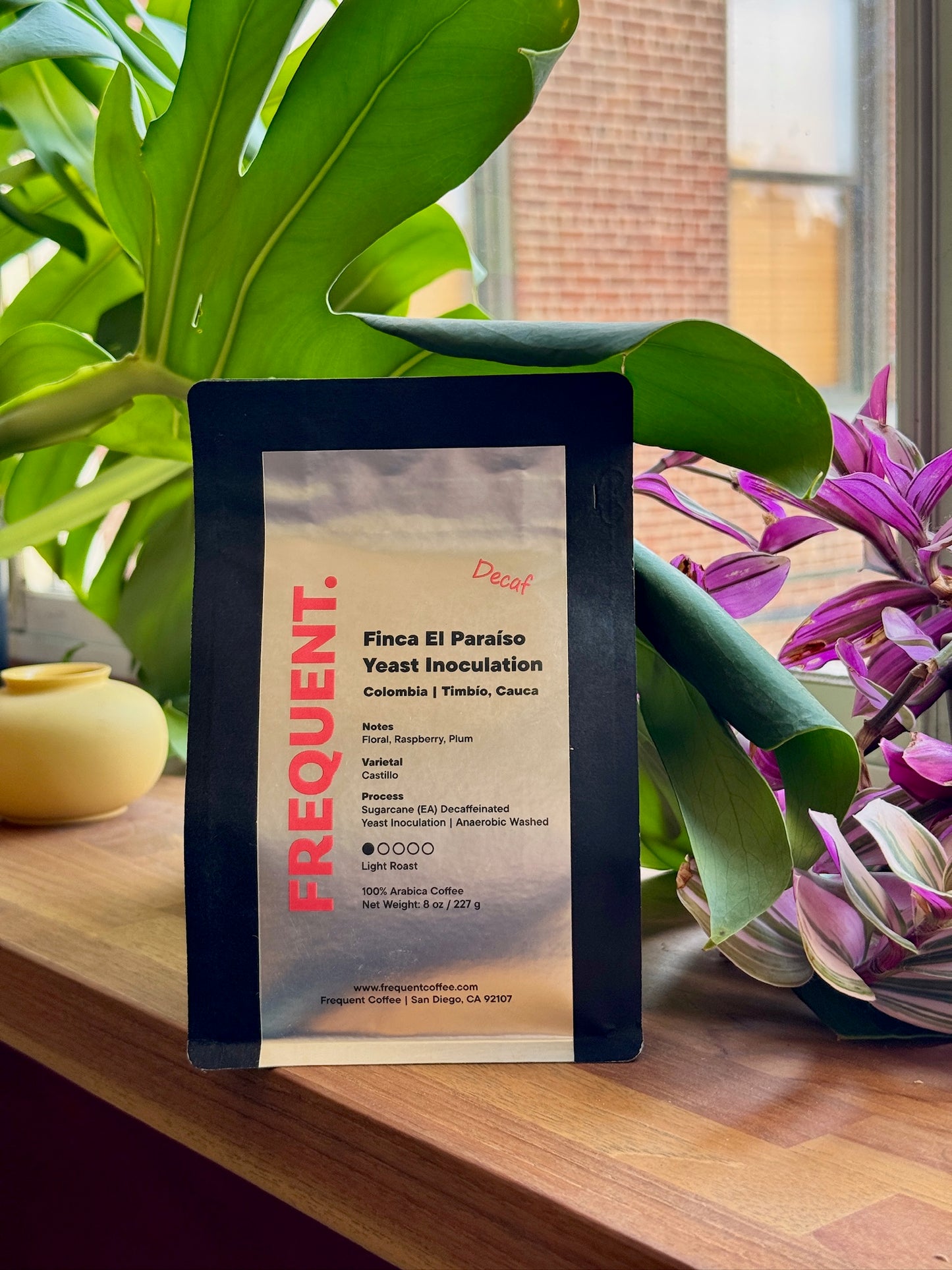 FINCA EL PARAÍSO YEAST INOCULATION - CASTILLO, SUGARCANE EA DECAF - COLOMBIA